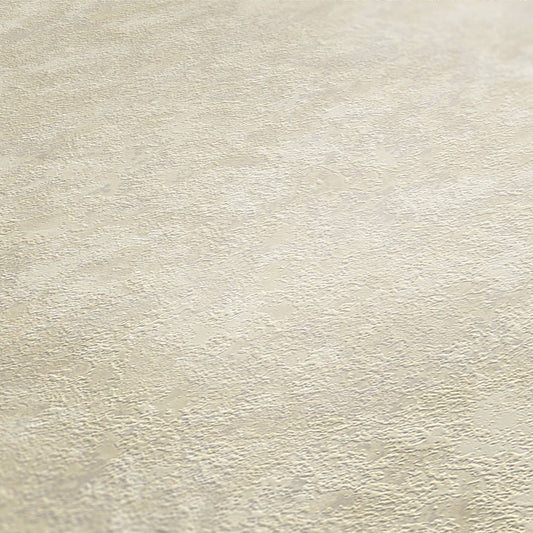 St. Petersberg Coordinates Wallpaper - Creme/White