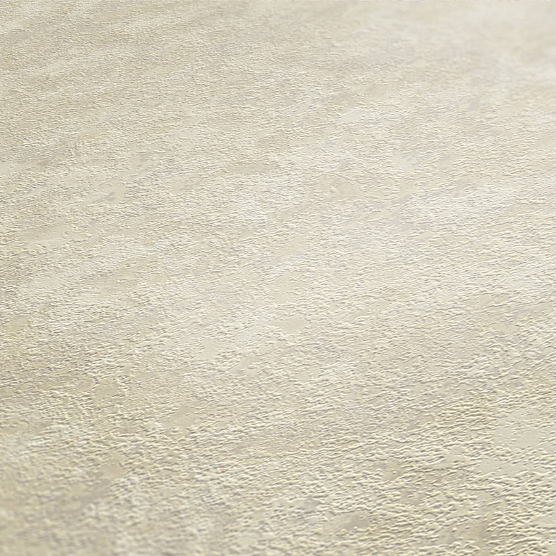 St. Petersberg Coordinates Wallpaper - Creme/White