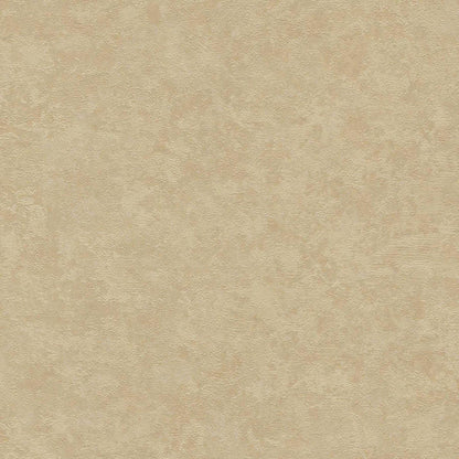 St. Petersberg Coordinates Wallpaper - Beige/Brown