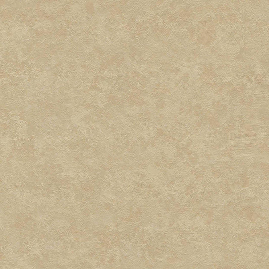 St. Petersberg Coordinates Wallpaper - Beige/Brown
