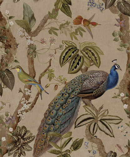 Cassia - Exotic Peacock Wallpaper - Taupe