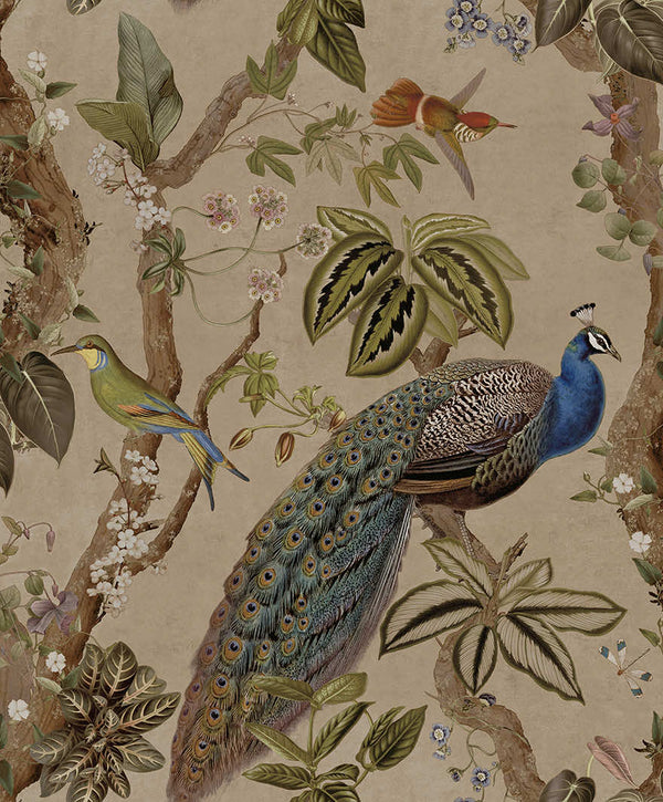 Sample - Cassia Exotic Peacock Wallpaper - Taupe