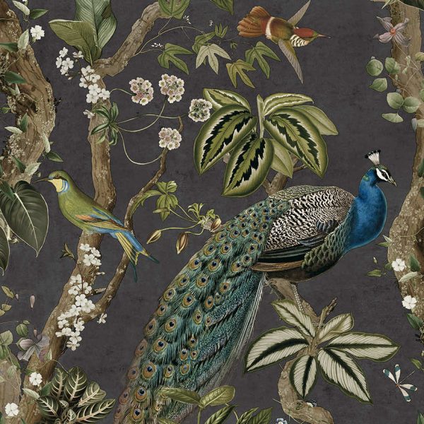 Cassia - Exotic Peacock Wallpaper - Charcoal