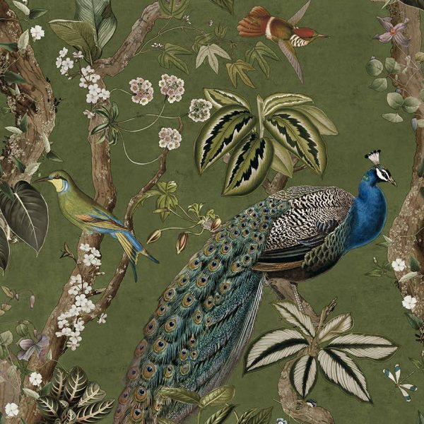 Cassia - Exotic Peacock Wallpaper - Green