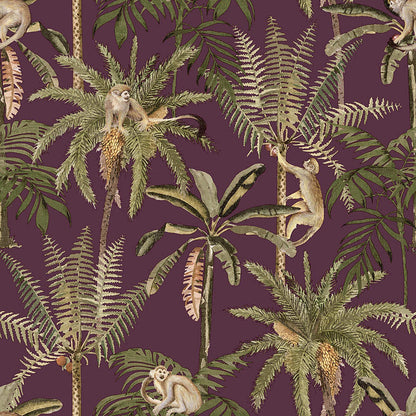 Ateles Spider Monkey Wallpaper - Berry
