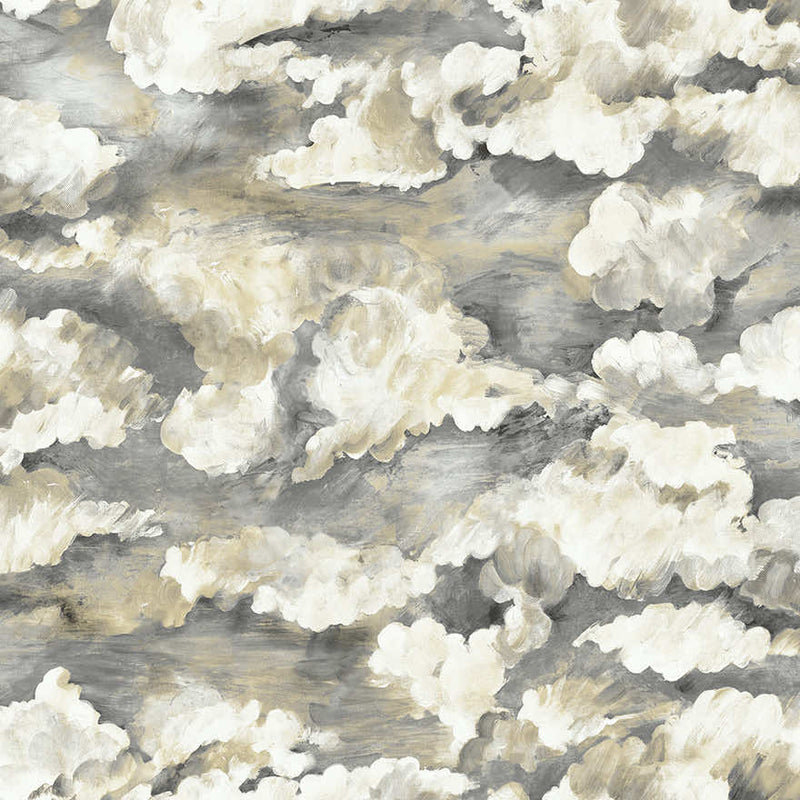 Sora - Tranquil Cloud Wallpaper - Charcoal
