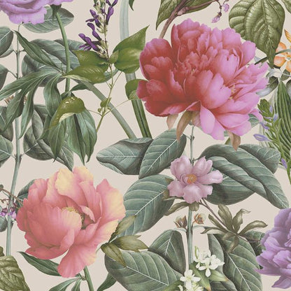 Botanicus - Large Blossoms Wallpaper - Cream