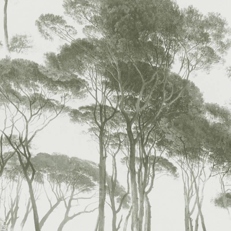 Tree Tops Wallpaper - Green/White