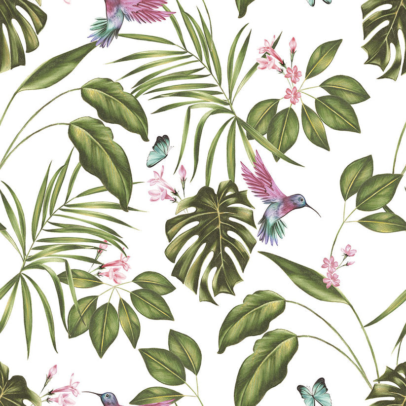 Hummingbird Wallpaper - Ohpopsi - Wilderness White