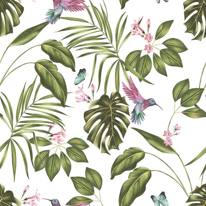 Hummingbird Wallpaper - Ohpopsi - Wilderness White