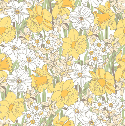 Daffodil Wallpaper - Yellow