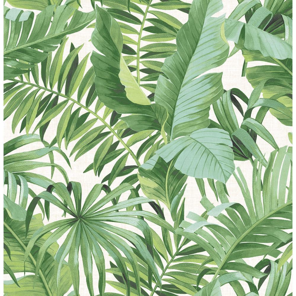 Sample - Baja Tropical Leaf Wallpaper