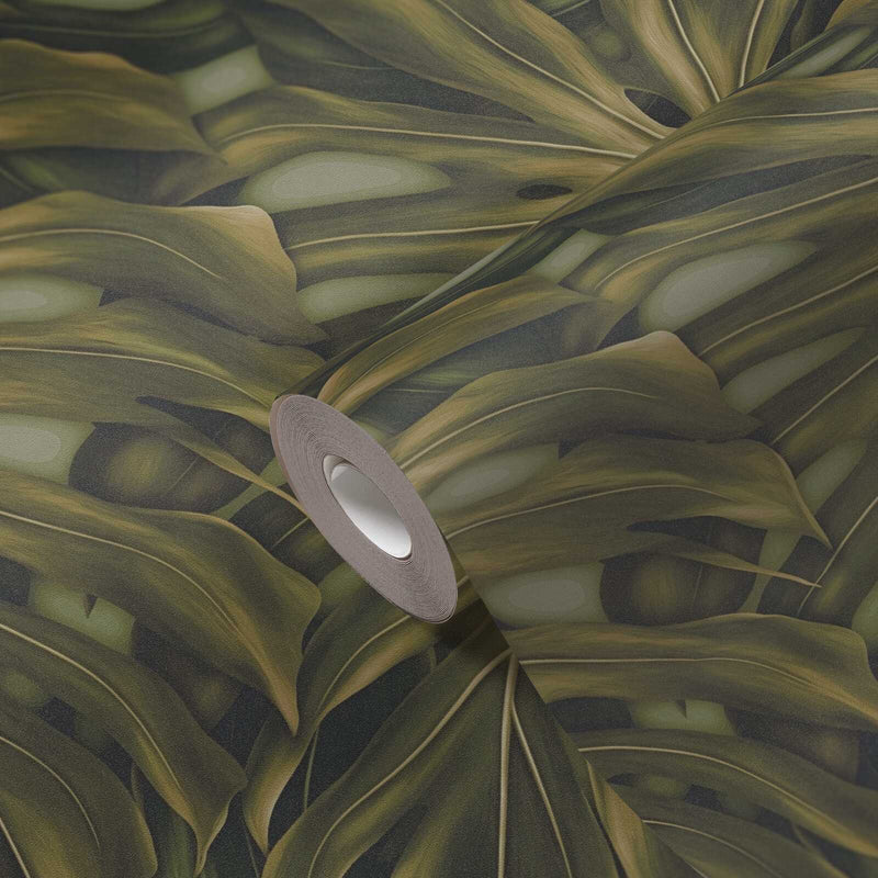 Monstera Jungle
