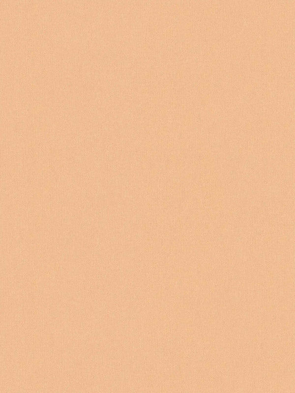 Sample - Art of Eden Plain Coordinate Wallpaper - Pale Orange