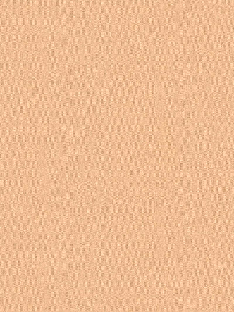 Sample - Art of Eden Plain Coordinate Wallpaper - Pale Orange