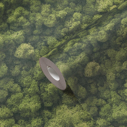 Moss wallpaper