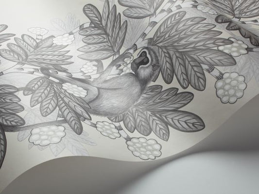 Acacia Monkey Wallpaper - Grey/White