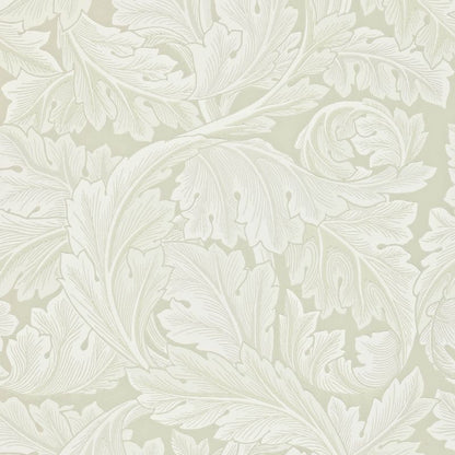 Acanthus by Morris Wallpaper - Chalk