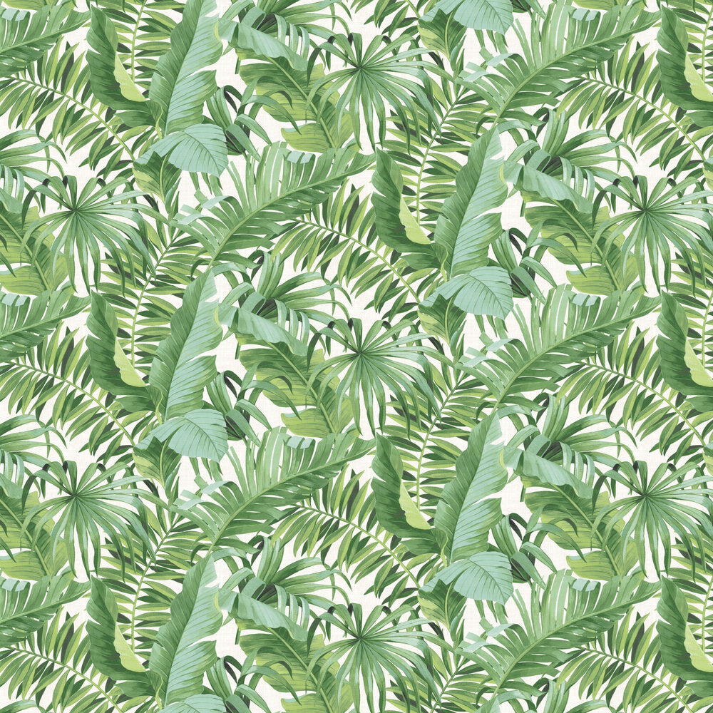 Baja Tropical Leaf Wallpaper
