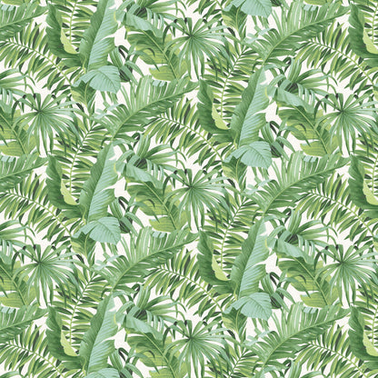 Baja Tropical Leaf Wallpaper