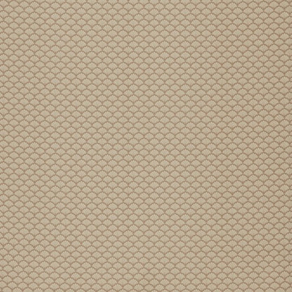 Tarantino Fabric (Borchelli Collection) - 5 Colours