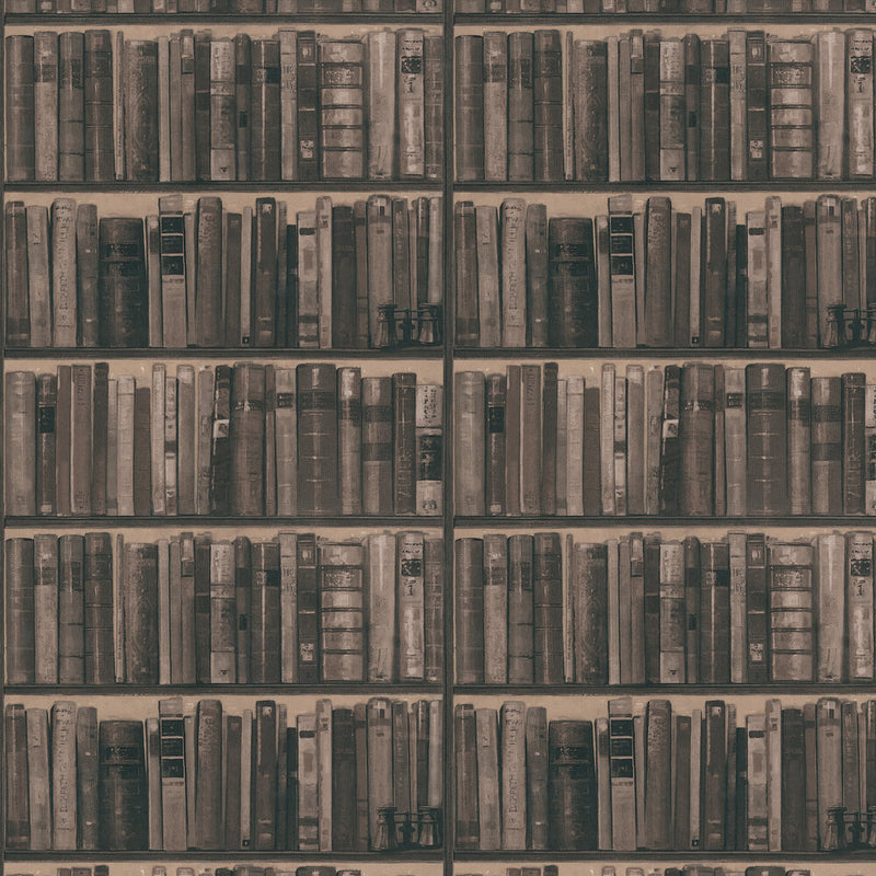 Library Wallpaper - Andrew Martin
