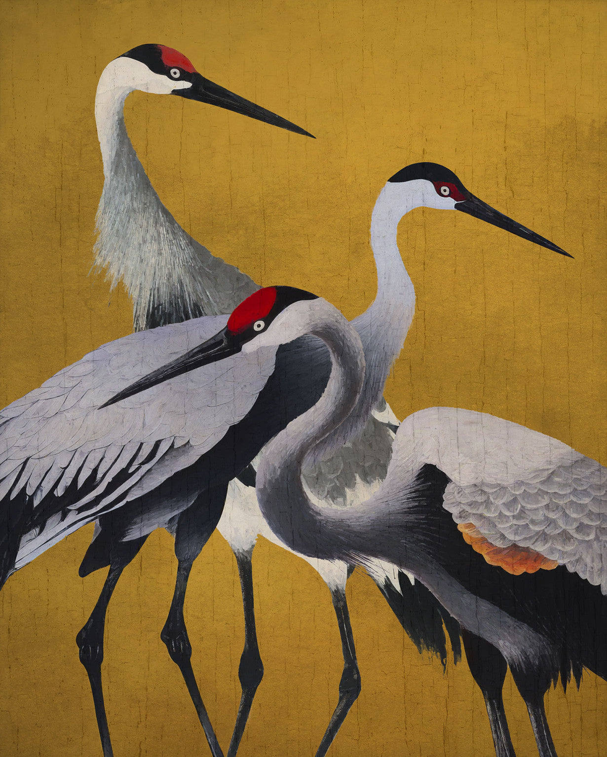 Sample – Yellow Cranes - Mural Wallpaper 250 high x 200 Wide