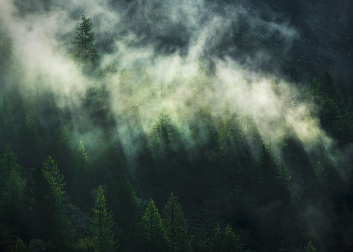 Sample – Misty Crowns - Custom Sized Wallpaper Mural (per m2)