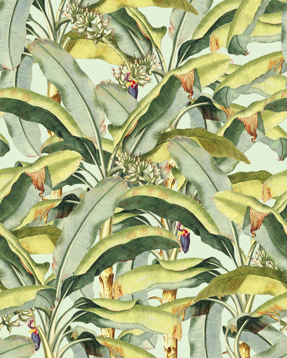 Banana Grove - Custom Sized Wallpaper Mural (per m2)