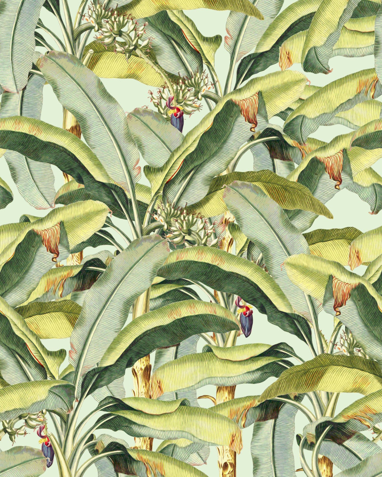 Sample – Banana Grove - Custom Sized Wallpaper Mural (per m2)