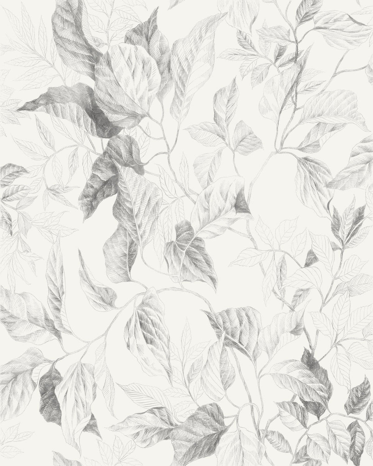 Sample – Jeu De Feuilles - Custom Sized Wallpaper Mural (per m2)
