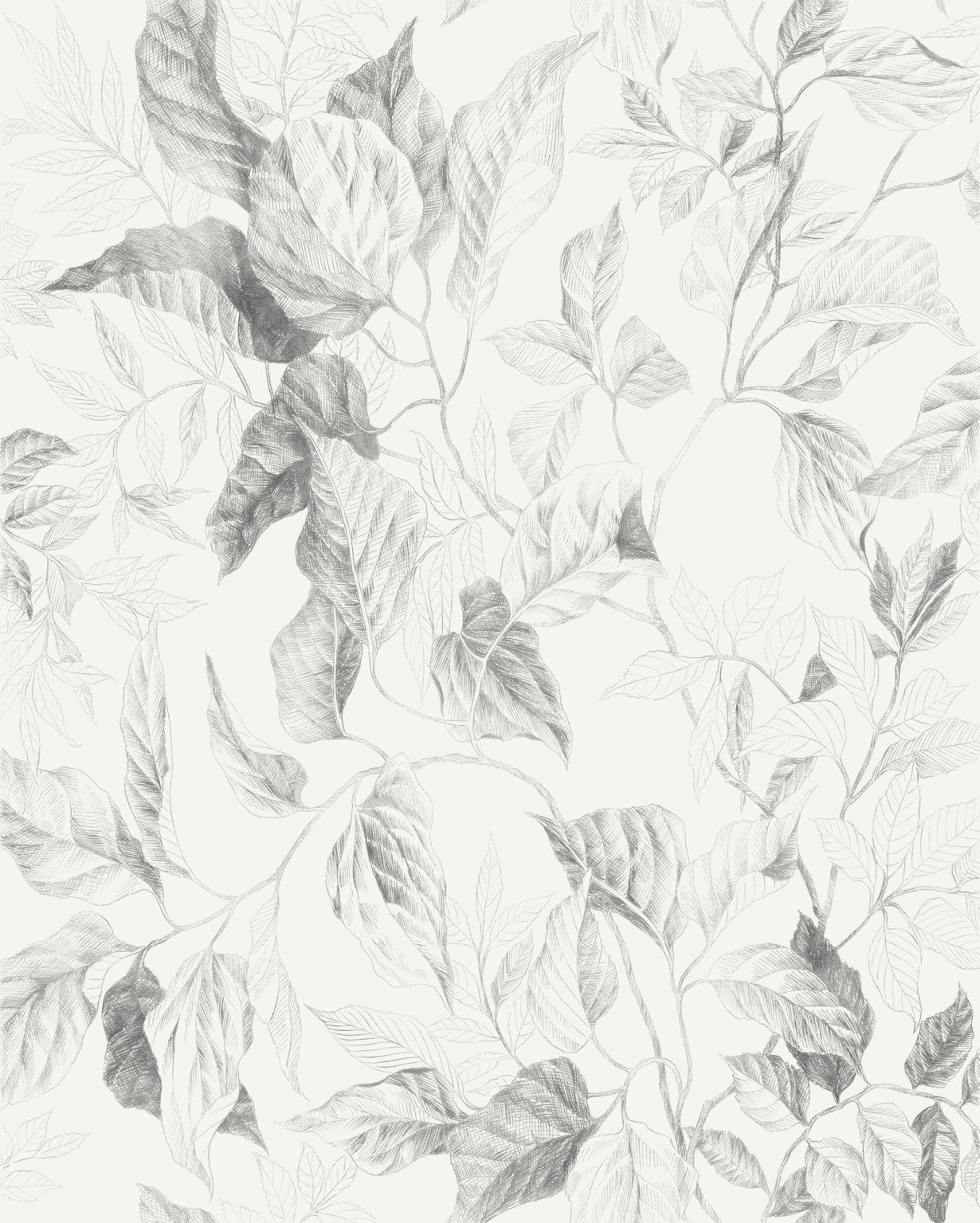 Sample – Jeu De Feuilles - Custom Sized Wallpaper Mural (per m2)