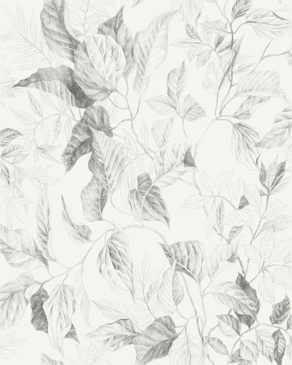 Sample – Jeu De Feuilles - Custom Sized Wallpaper Mural (per m2)