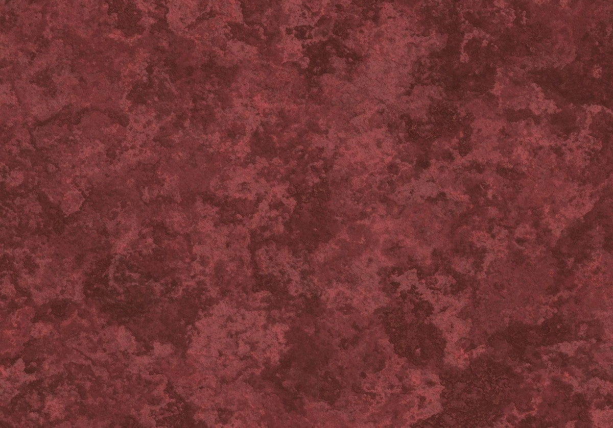 Sample – The Wall - Custom Sized Mural Wallpaper (per m2)