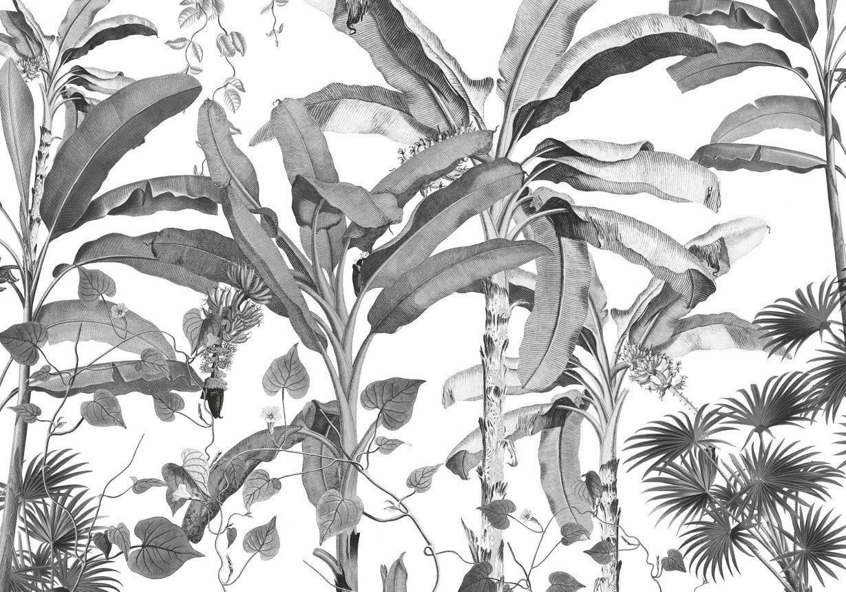 Sample – Croissances Monochrome - Custom Sized Mural Wallpaper (per m2)