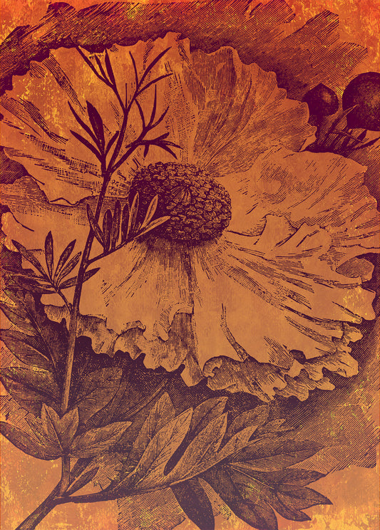 Harvest - Custom Sized Mural Wallpaper (per m2)