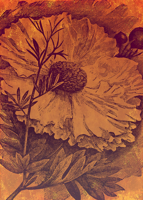 Sample – Harvest - Custom Sized Mural Wallpaper (per m2)