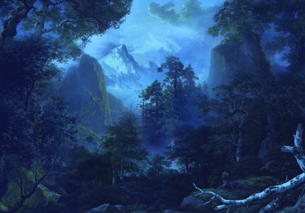 Sample – Midnight - Custom Sized Mural Wallpaper (per m2)