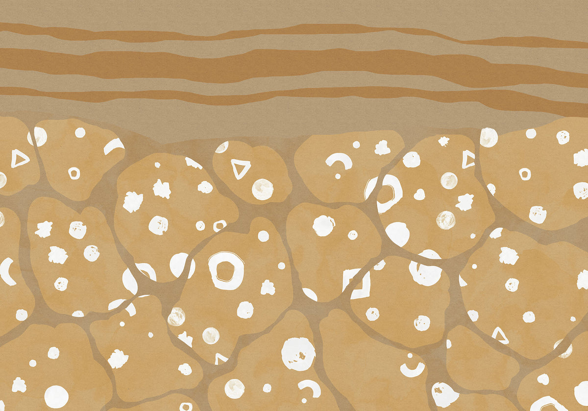 Subsoil - Custom Sized Mural Wallpaper (per m2)