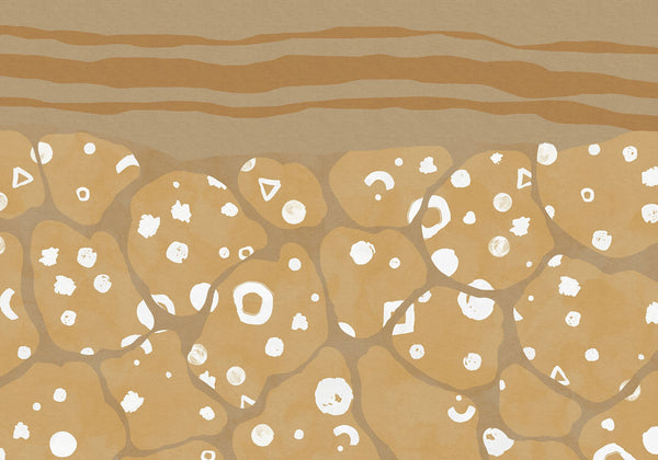 Sample – Subsoil - Custom Sized Mural Wallpaper (per m2)