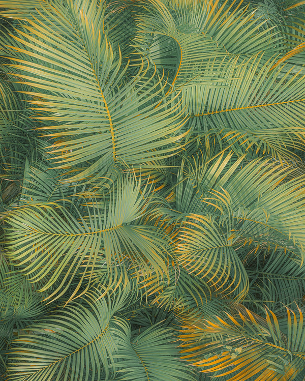 Sample – Neon Ferns - Custom Sized Wallpaper Mural (per m2)