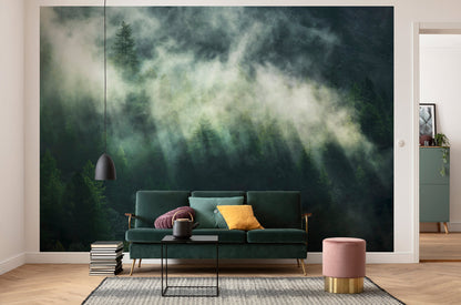 Misty Crowns - Custom Sized Wallpaper Mural (per m2)