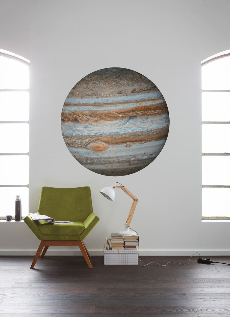 Jupiter - Circular Mural - Self Adhesive