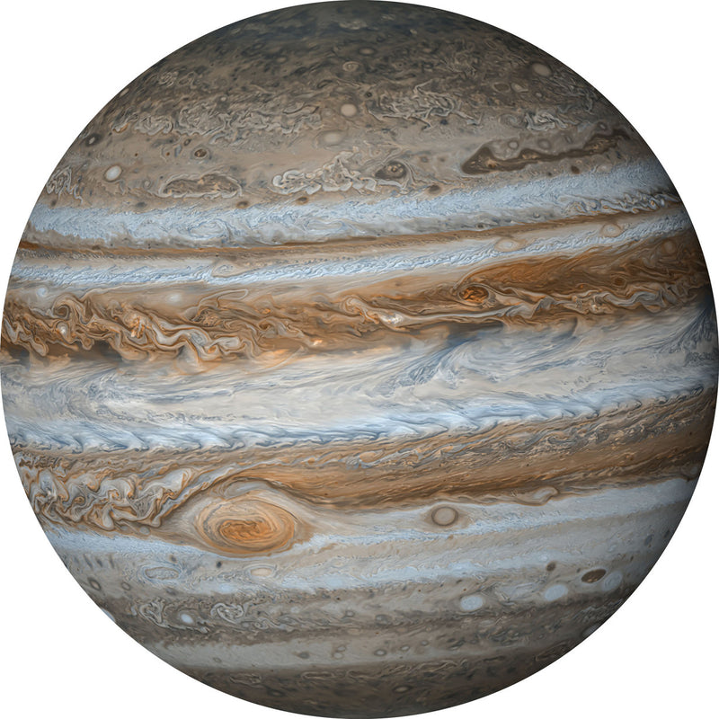 Jupiter - Circular Mural - Self Adhesive