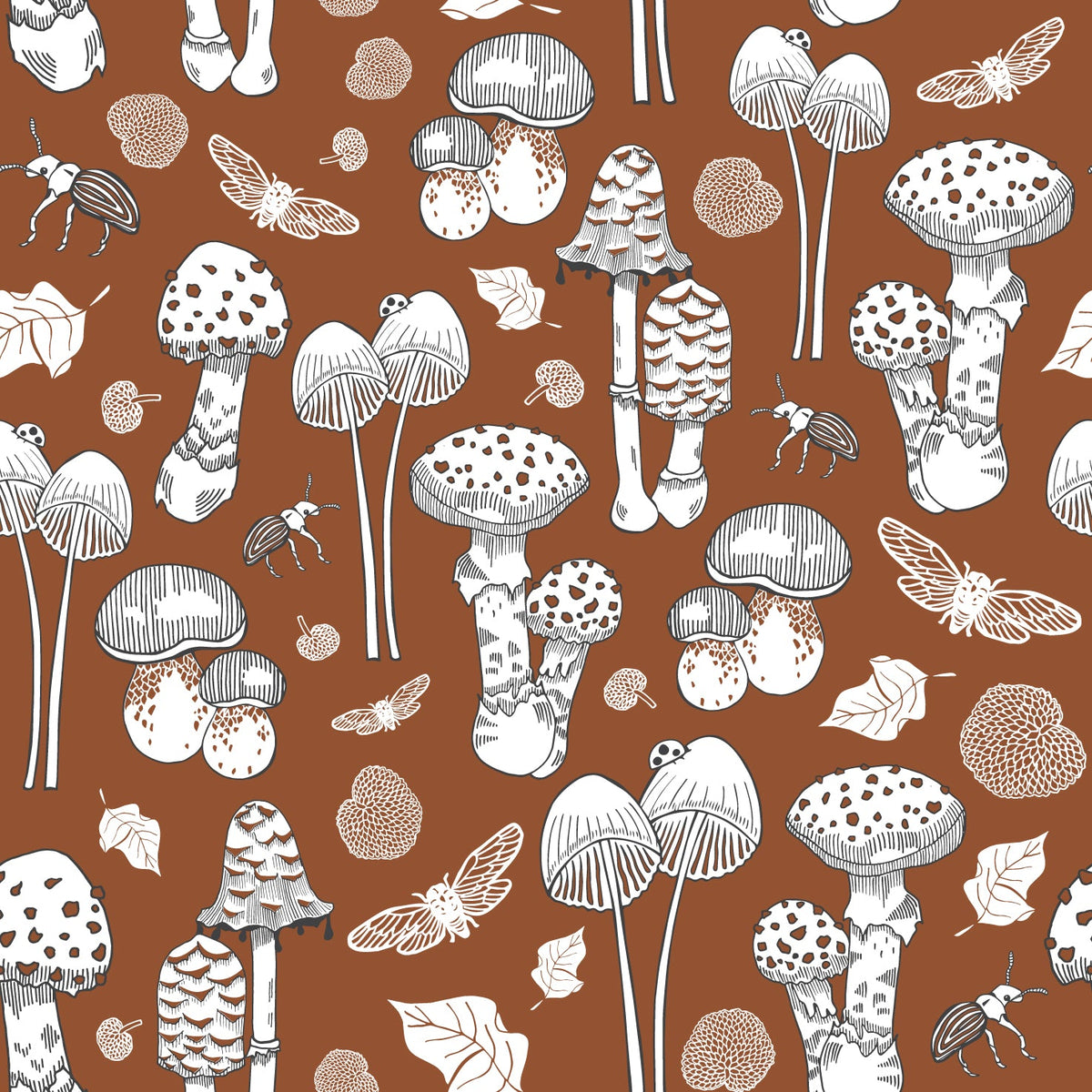 Sample - Fungi - NZ Wallpaper - Autumn