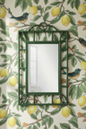 Ponderosa Bird and Lemon Wallpaper - Cream/Orange
