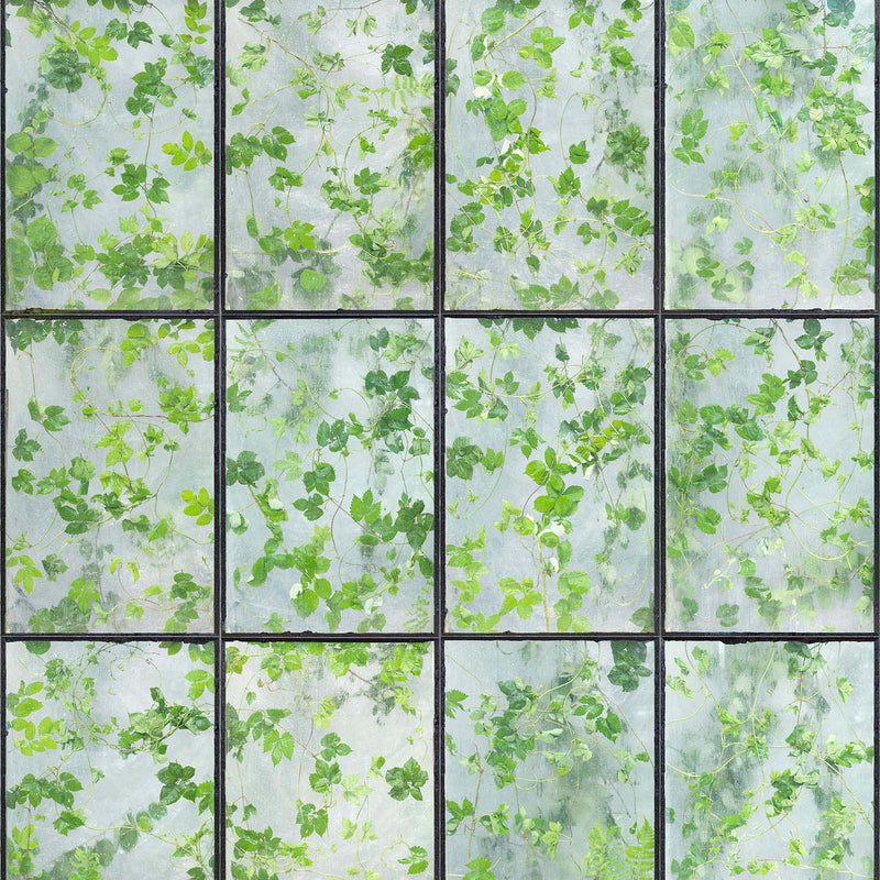 Greenhouse Wallpaper by Erik Gutter