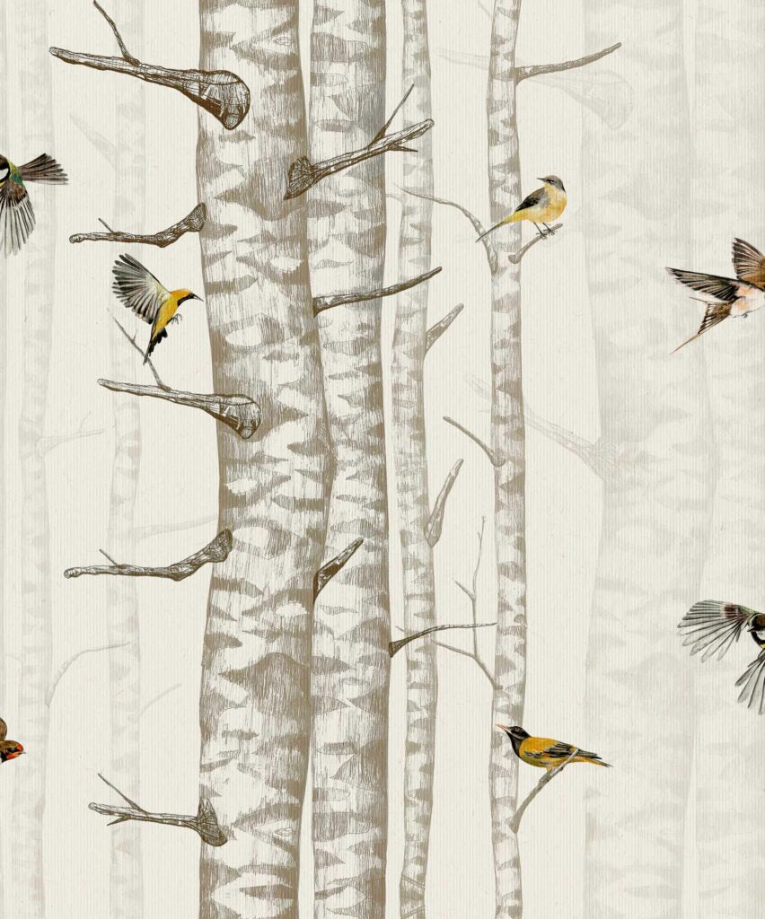 Birch Trees Wallpaper – Beige