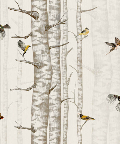 Sample – Birch Trees Wallpaper – Beige