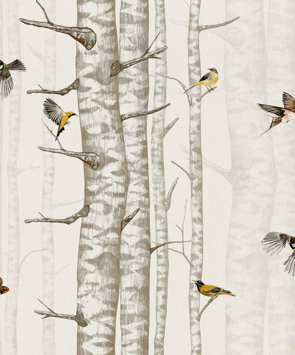 Sample – Birch Trees Wallpaper – Beige